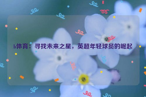 b体育：寻找未来之星，英超年轻球员的崛起