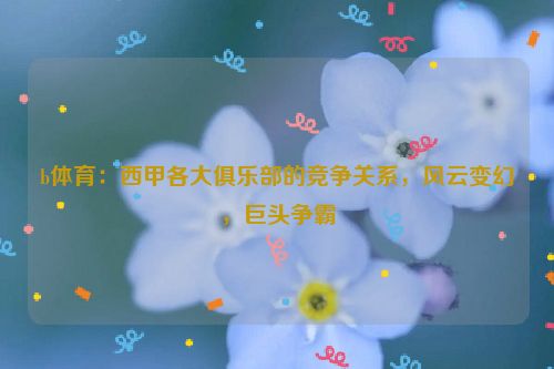 b体育：西甲各大俱乐部的竞争关系，风云变幻，巨头争霸