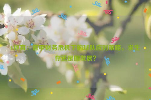 b体育：意甲财务危机下的球队应对策略，求生存还是图发展？