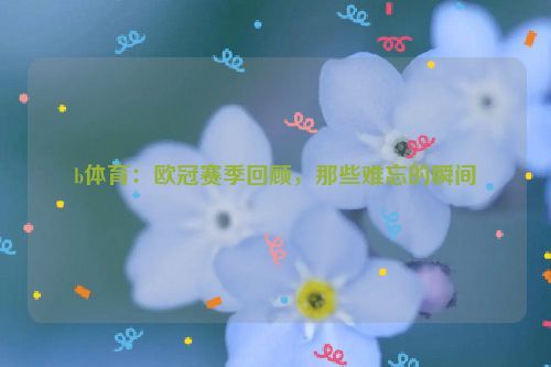 b体育：欧冠赛季回顾，那些难忘的瞬间