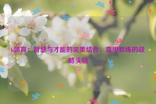 b体育：智慧与才能的完美结合，意甲教练的战略头脑