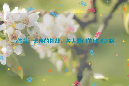 b体育：无畏的挑战，各大豪门的欧冠之路