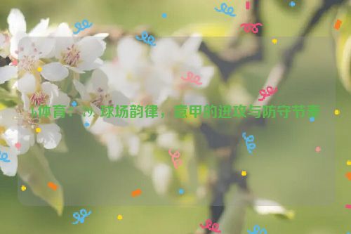 b体育：79. 球场韵律，意甲的进攻与防守节奏