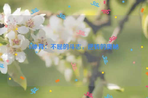 b体育：不屈的斗志，逆转的奥秘